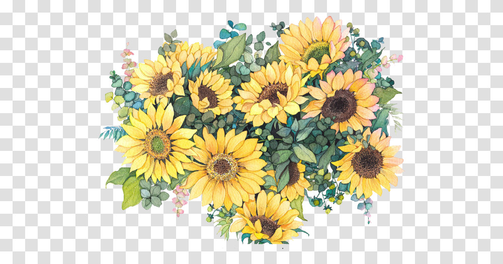 Watercolor Common Flowers Painting Sunflower Water Color, Plant, Blossom, Treasure Flower, Daisy Transparent Png