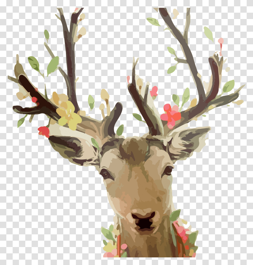 Watercolor Deer Antlers Picture 384342 Painting, Plant, Tree, Wildlife, Mammal Transparent Png