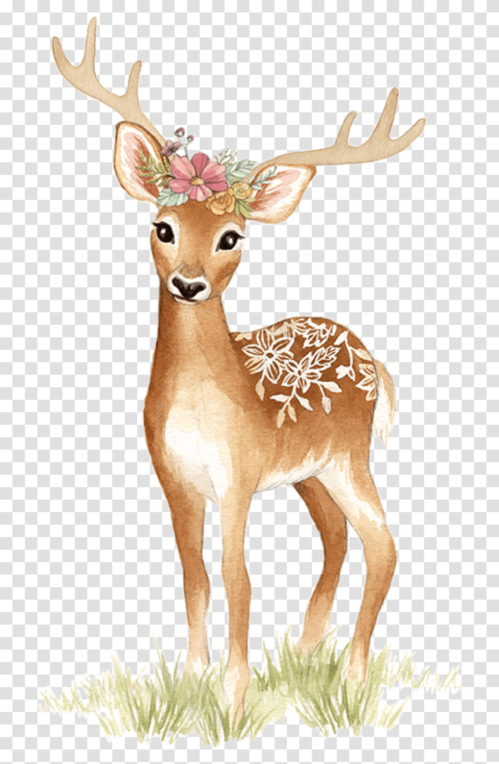 Watercolor Deer Doe Fawn Tattoo Floral Flowers, Antelope, Wildlife, Mammal, Animal Transparent Png