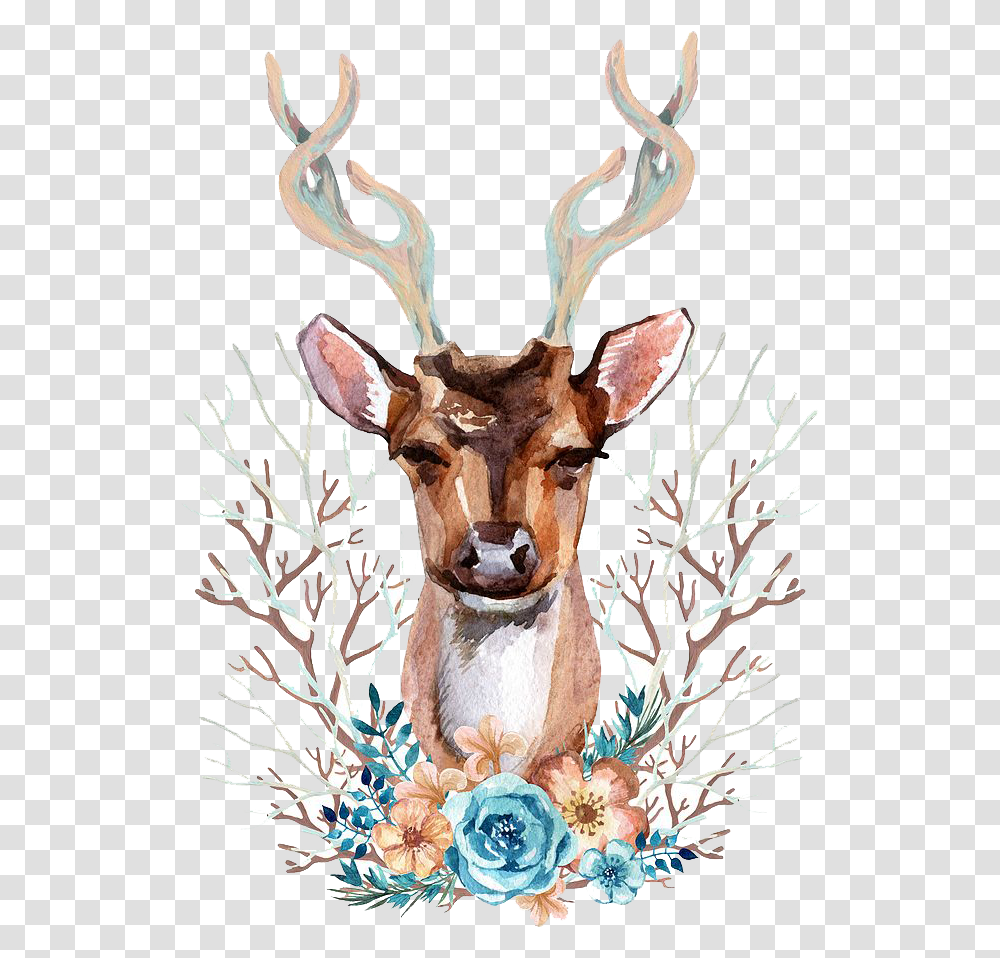 Watercolor Deer Head, Antler, Elk, Wildlife, Mammal Transparent Png