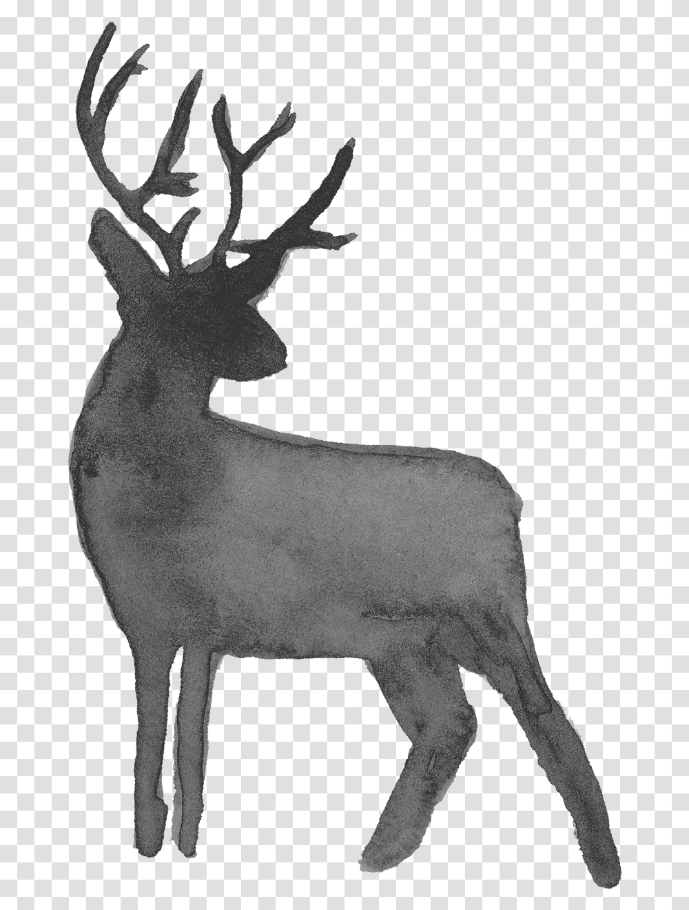 Watercolor Deer Silhouette Onlygfxcom Background Deer Silhouette, Mammal, Animal, Wildlife, Elk Transparent Png