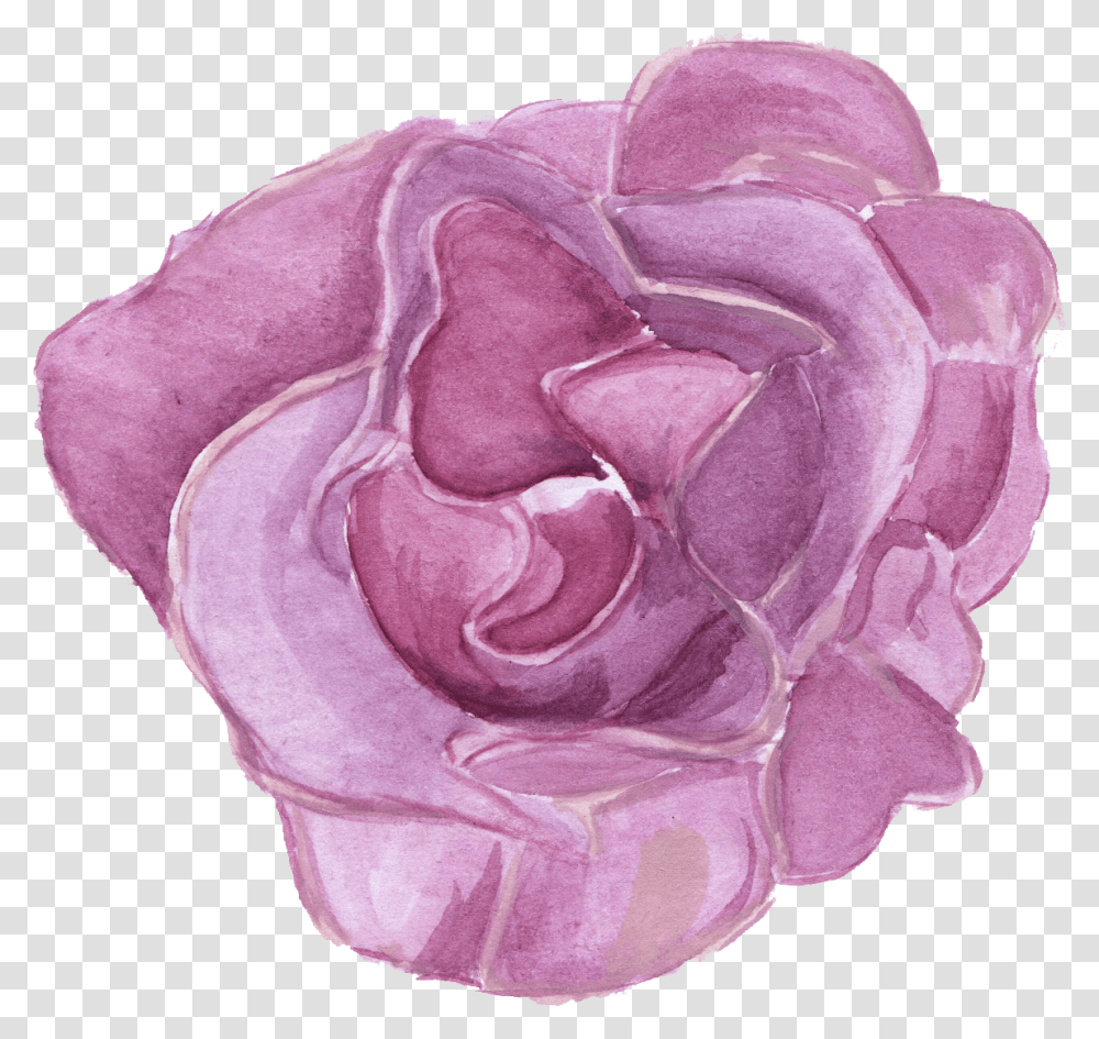 Watercolor Download Watercolor Flowers Purple, Plant, Rose, Blossom, Vegetable Transparent Png