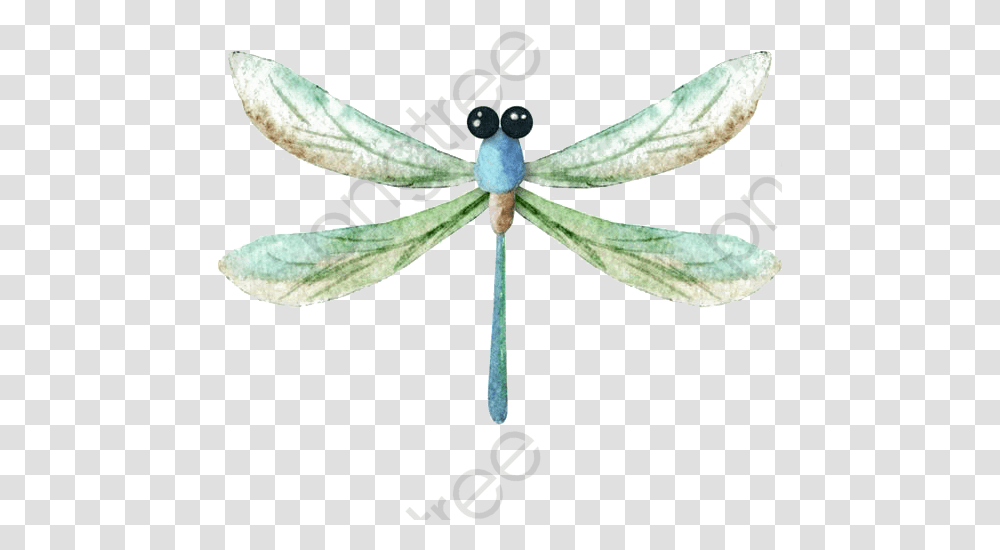 Watercolor Dragonfly Clipart 542569 Clip Art Dragonfly Watercolor, Insect, Invertebrate, Animal, Anisoptera Transparent Png