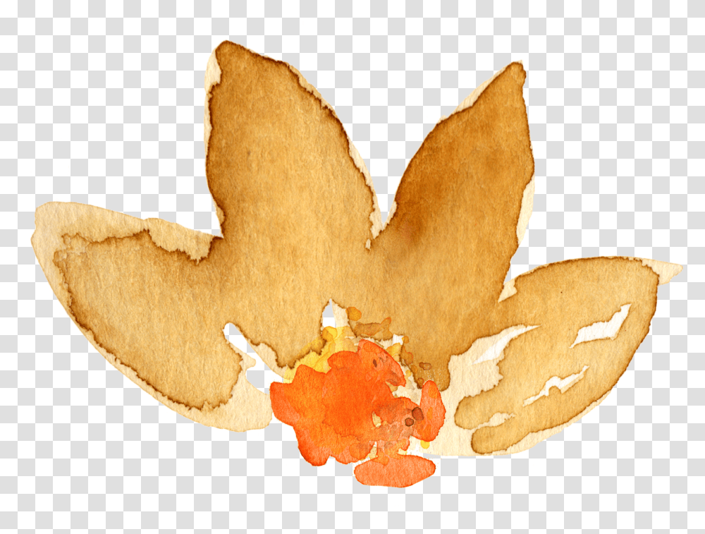 Watercolor Fall Leaf, Plant, Food, Cookie, Biscuit Transparent Png