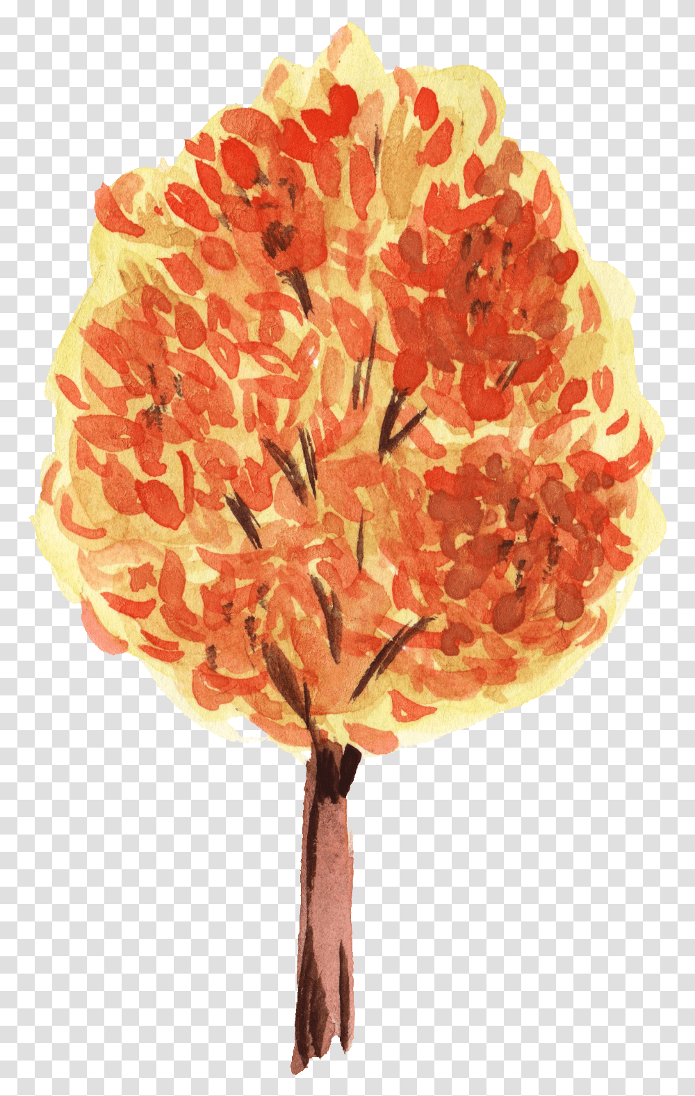 Watercolor Fall Tree, Plant, Flower, Blossom, Carnation Transparent Png