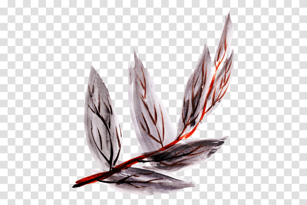 Watercolor Feather, Bird, Animal, Insect, Invertebrate Transparent Png