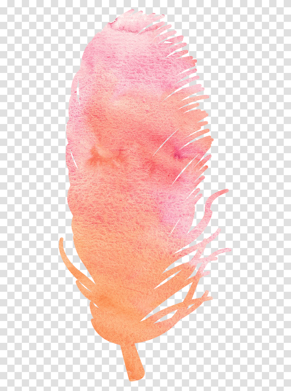 Watercolor Feather, Plant, Flower, Blossom Transparent Png