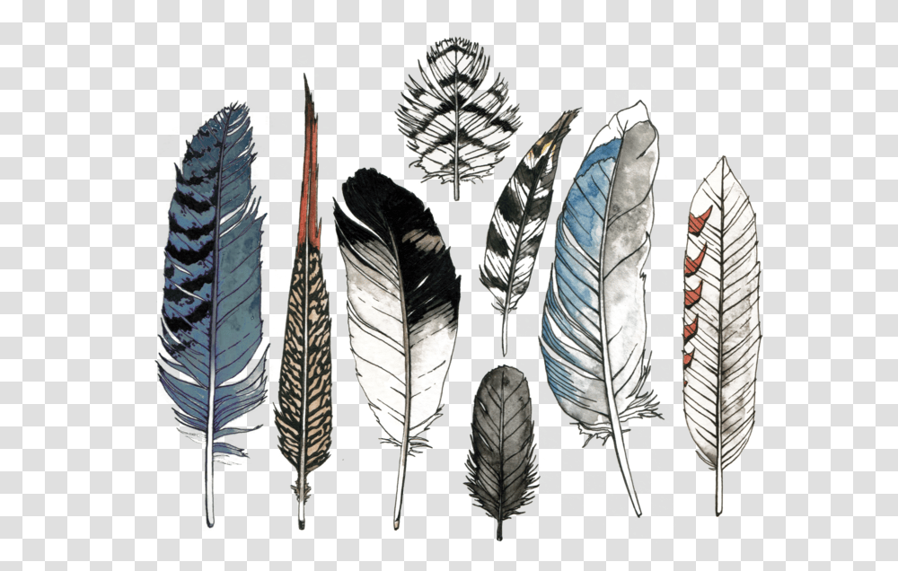 Watercolor Feather Set Watercolor Feathers, Art, Leaf, Plant, Drawing Transparent Png