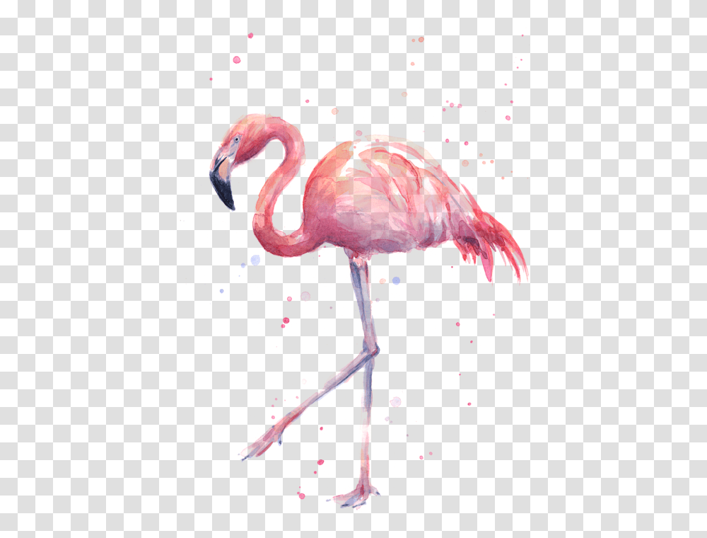 Watercolor Flamingo, Bird, Animal Transparent Png