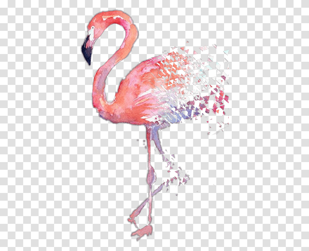 Watercolor Flamingo Watercolor Flamingos, Bird, Animal, Beak Transparent Png