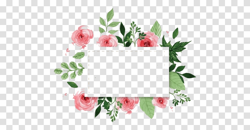 Watercolor Floral Background, Plant, Flower, Blossom, Rose Transparent Png