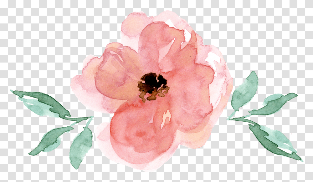 Watercolor Floral Svg Free Rose, Plant, Flower, Blossom, Pollen Transparent Png