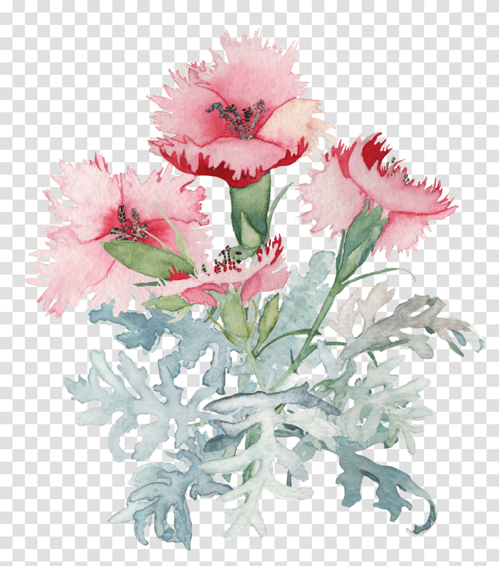 Watercolor Flower Background, Plant, Blossom, Carnation Transparent Png