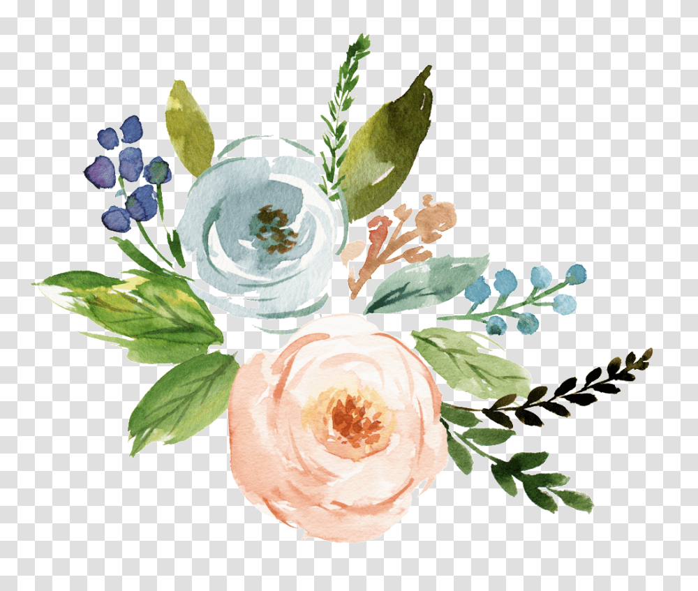 Watercolor Flower Background, Plant, Blossom, Rose, Petal Transparent Png