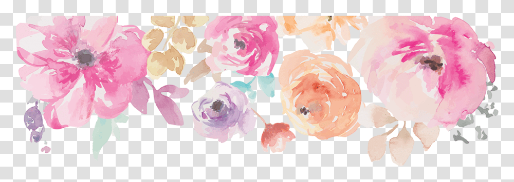 Watercolor Flower Border Download Pink Flower Border, Plant, Blossom, Rose, Peony Transparent Png