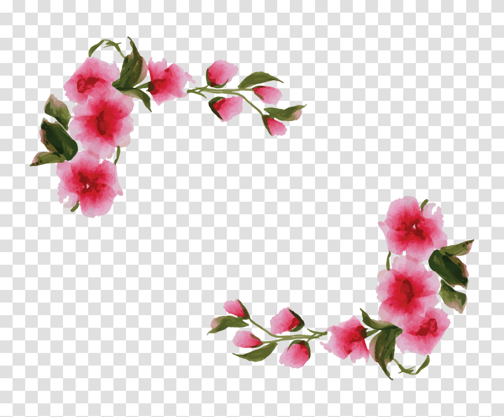 Watercolor Flower Border Flower Border Design Hd, Hibiscus, Plant, Blossom, Petal Transparent Png
