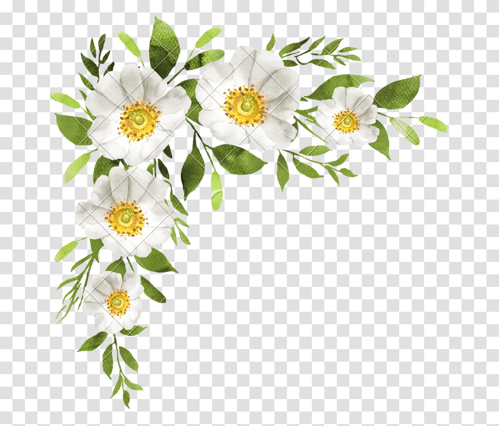 Watercolor Flower Bouquet White Watercolor, Plant, Daisy, Graphics, Art Transparent Png