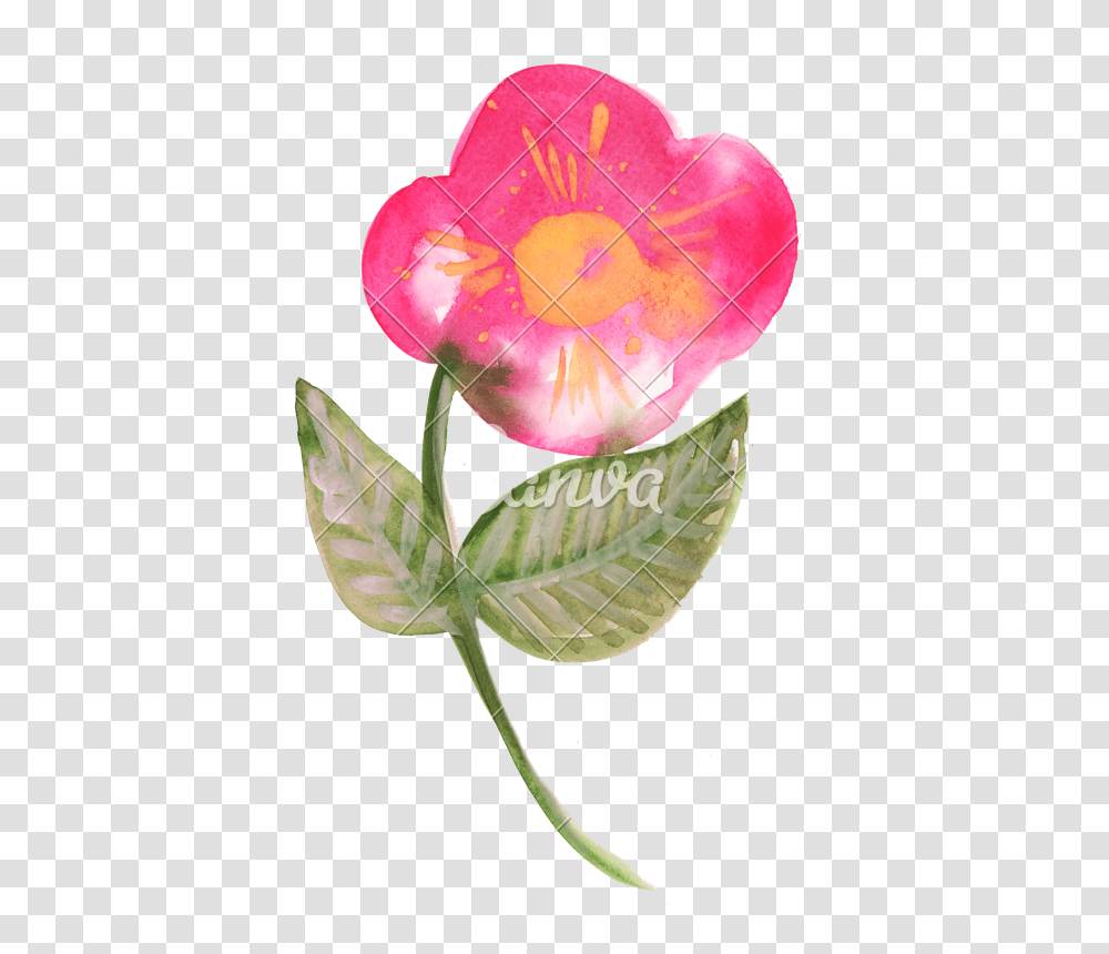 Watercolor Flower Bud, Plant, Blossom, Leaf, Petal Transparent Png