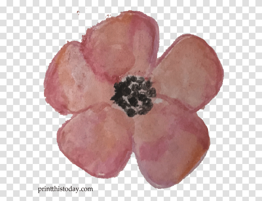 Watercolor Flower Clipart Free, Plant, Accessories, Accessory, Fungus Transparent Png