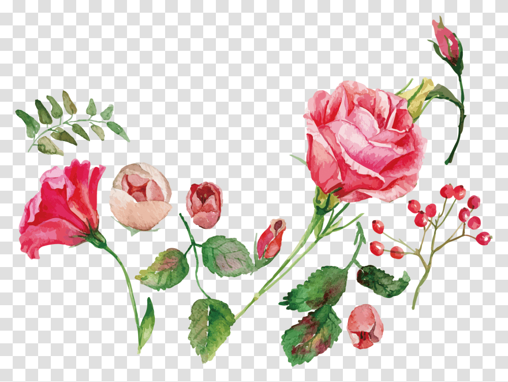 Watercolor Flower Clipart Rose Watercolor Flowers Vector, Plant, Blossom, Petal, Floral Design Transparent Png