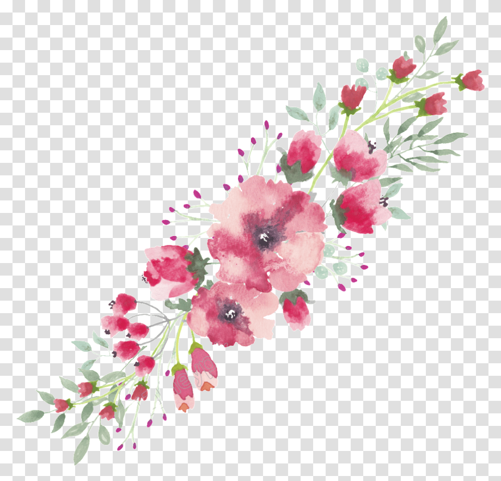 Watercolor Flower Lace Border Pink Flowers, Plant, Blossom, Carnation Transparent Png