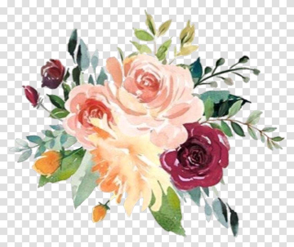 Watercolor Flower Vector, Plant, Blossom, Rose, Carnation Transparent Png