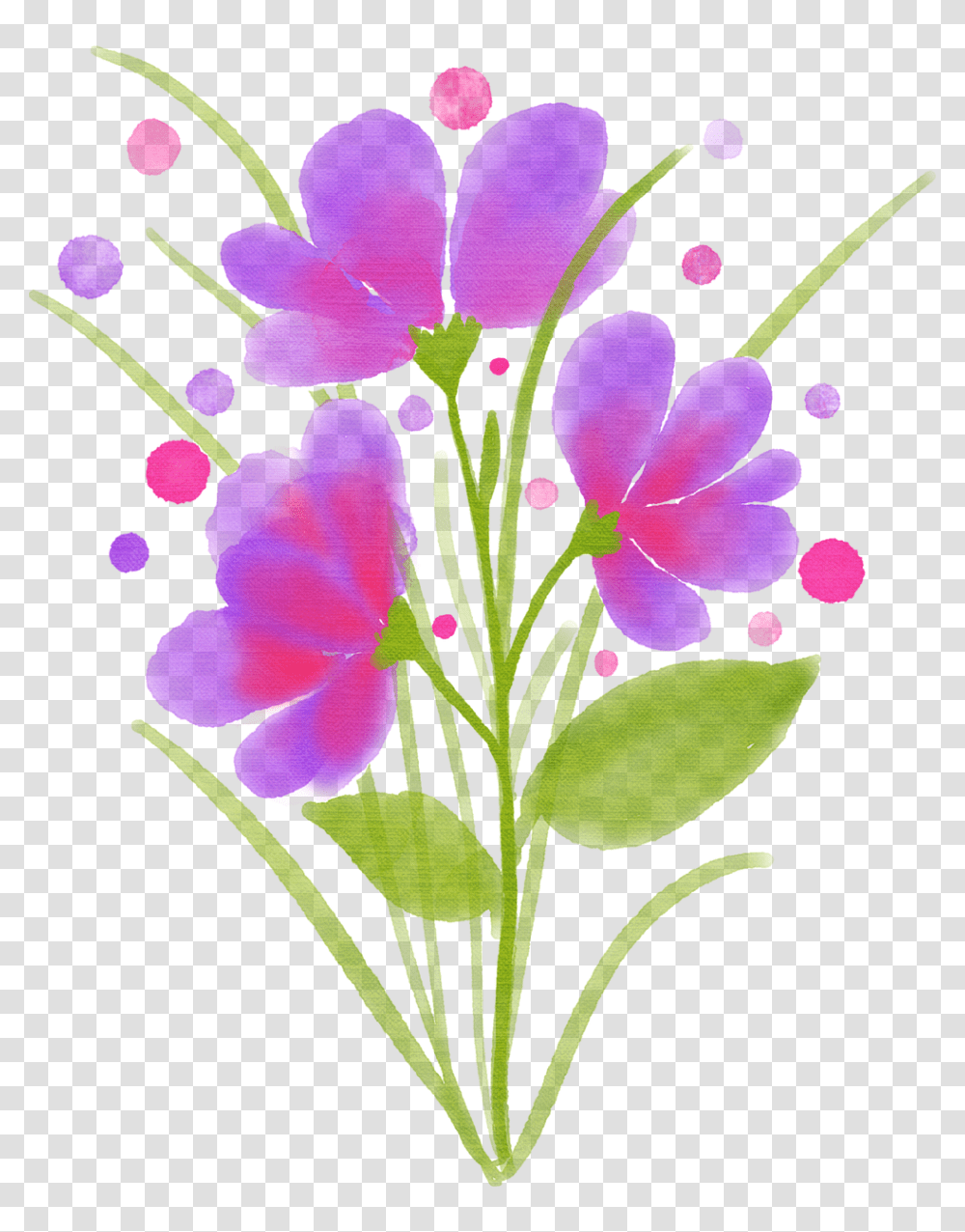 Watercolor Flower Watercolour Free Image On Pixabay, Plant, Blossom, Hibiscus, Geranium Transparent Png