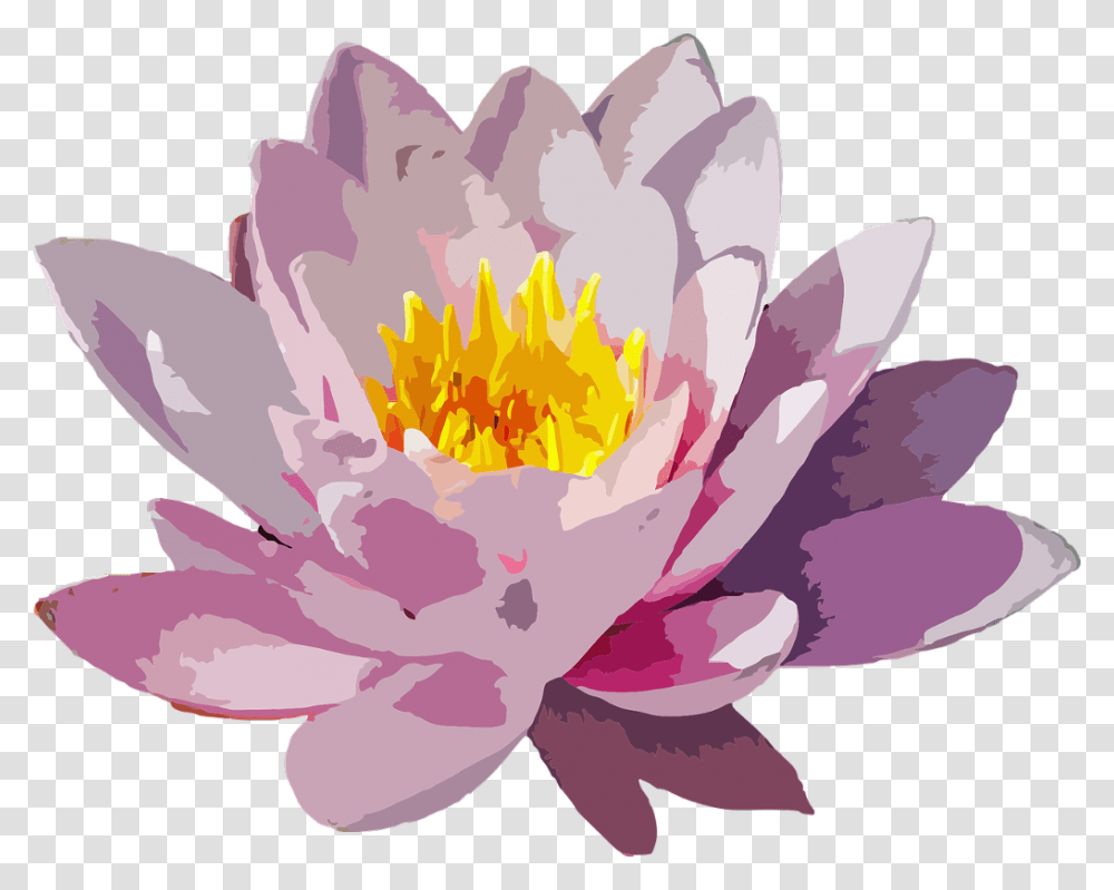 Watercolor Flower Watercolour Purpleflower Petals Water Lily Vector, Plant, Blossom, Pond Lily, Peony Transparent Png