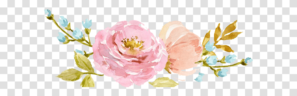 Watercolor Flowers 1 Flower Watercolor, Plant, Petal, Peony, Anther Transparent Png
