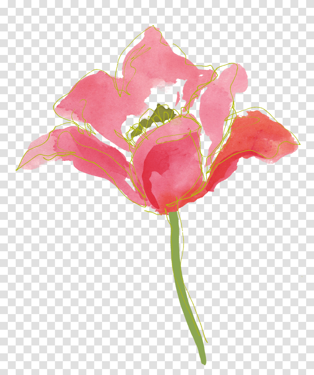 Watercolor Flowers 5 Paint Flower, Plant, Blossom, Petal, Rose Transparent Png