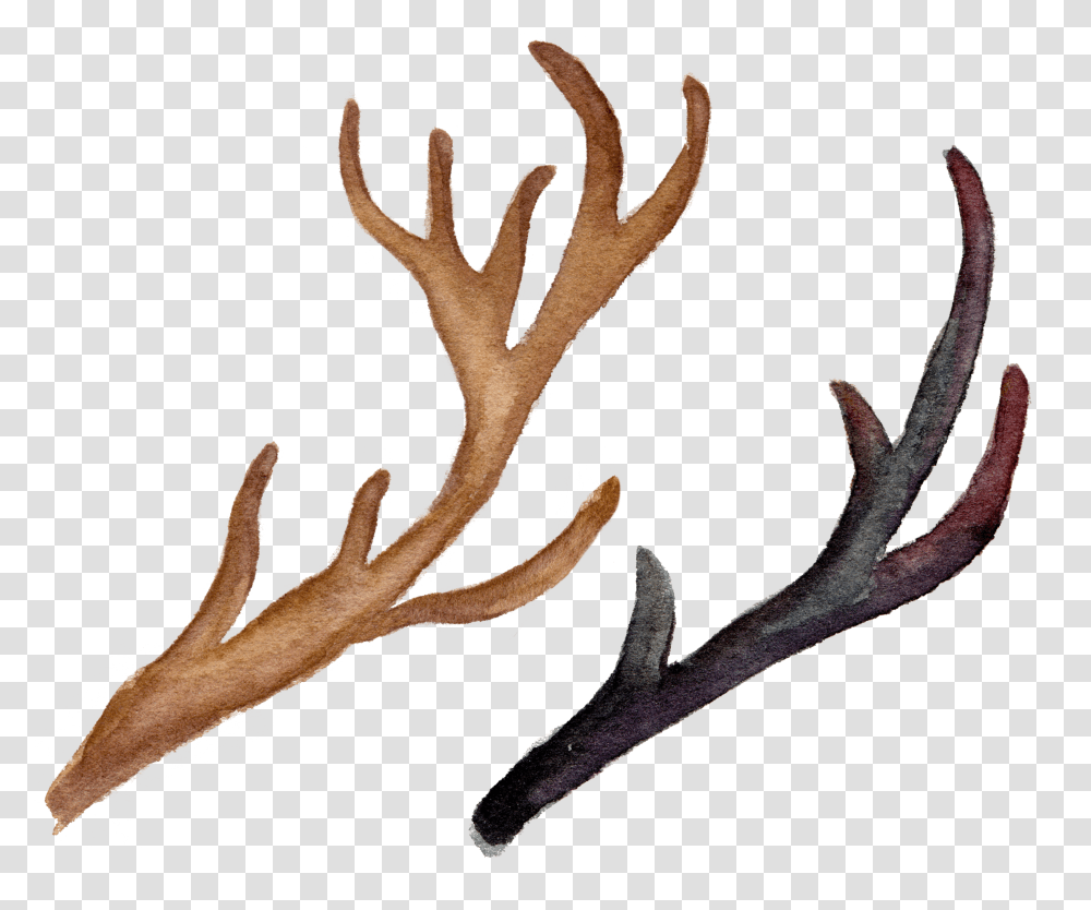 Watercolor Flowers And Deer Antlers Good Vibes For Success Transparent Png