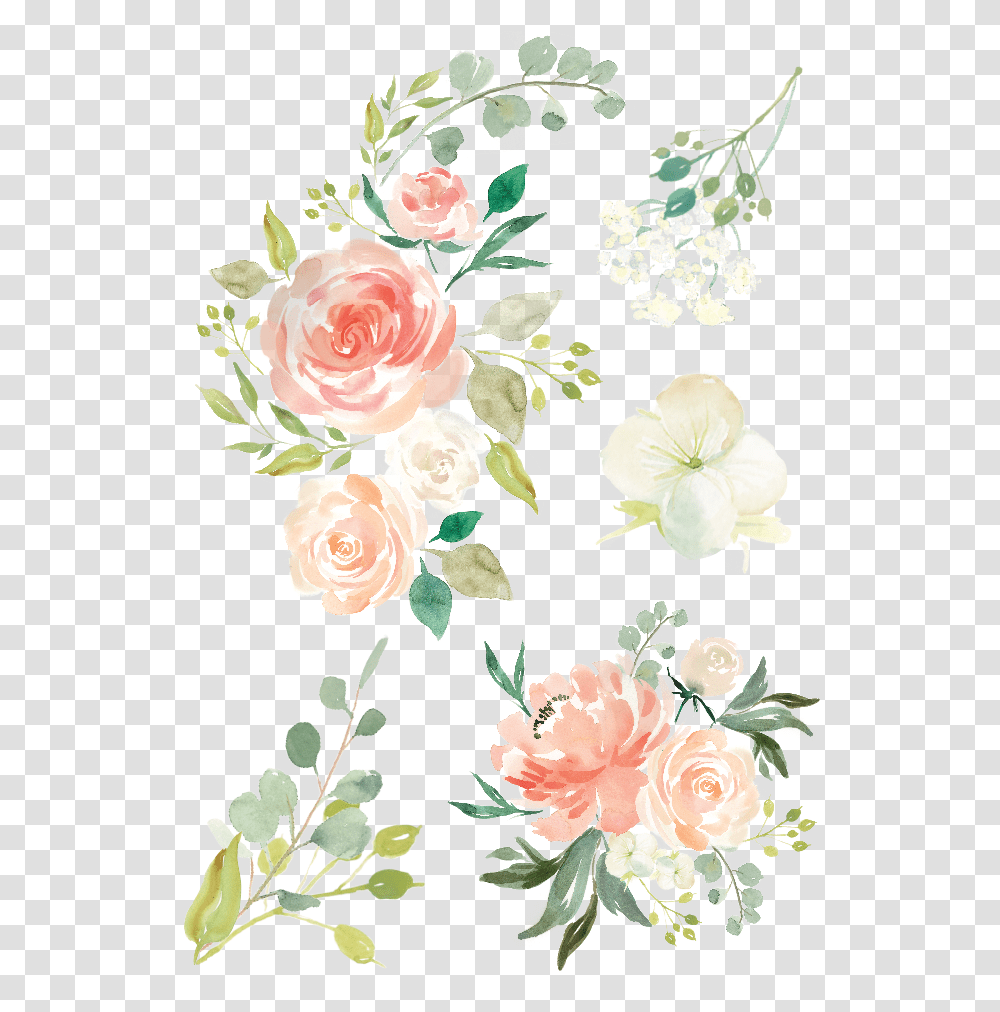 Watercolor Flowers Collections Free Watercolor Flower Vector, Plant, Blossom, Rose, Peony Transparent Png
