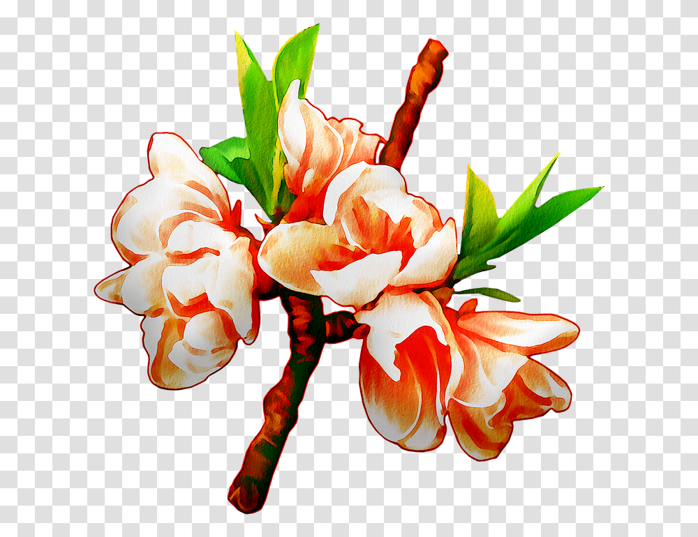 Watercolor Flowers Floral Pink Free Image On Pixabay Flower, Plant, Blossom, Flower Arrangement, Petal Transparent Png
