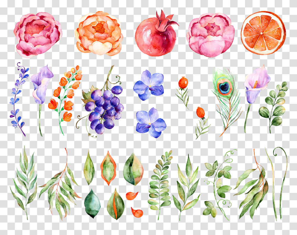Watercolor Flowers Flower Painting Hq Color Grapes Flowers Watercolor, Plant, Floral Design Transparent Png
