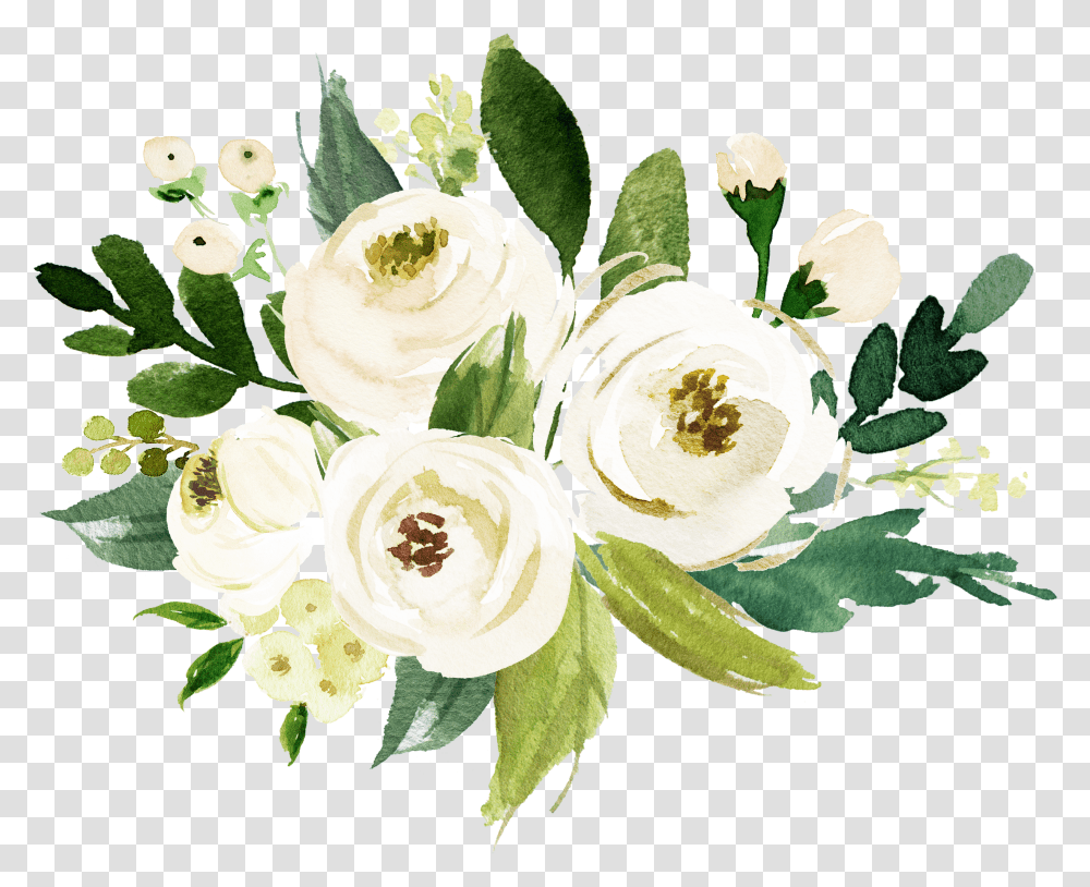 Белые цветы акварель