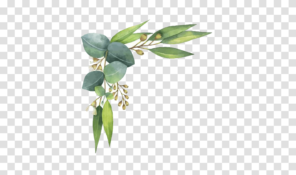 Watercolor Flowers Free Clipart Vectors Psd Templates Border Watercolor Leaves, Plant, Leaf, Food, Vegetable Transparent Png