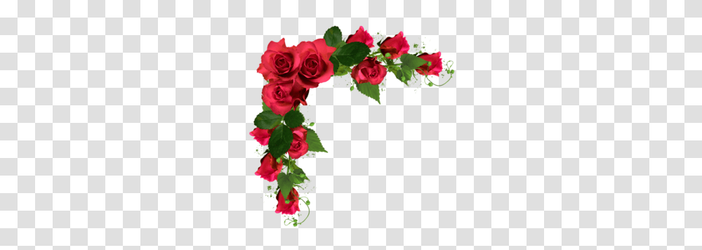 Watercolor Flowers Free, Plant, Rose, Floral Design, Pattern Transparent Png