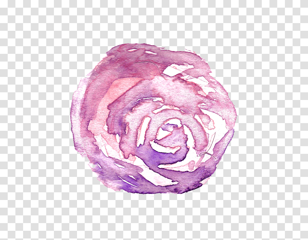 Watercolor Flowers Hand Painted Discord Separator, Petal, Plant, Rose, Vegetable Transparent Png