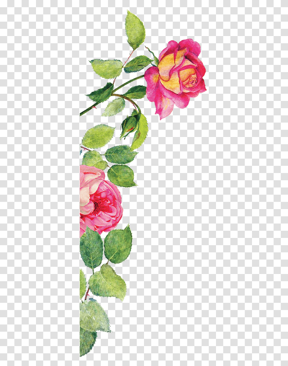 Watercolor Flowers Hr, Plant, Blossom, Peony, Geranium Transparent Png
