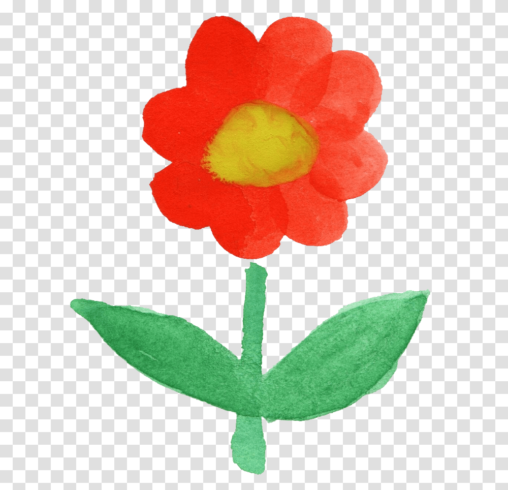 Watercolor Flowers Illustration, Plant, Blossom, Petal, Carnation Transparent Png