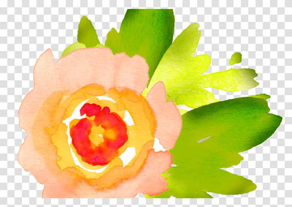 Watercolor Flowers Library Free Watercolor Yellow Flower Download, Plant, Rose, Blossom, Pond Lily Transparent Png