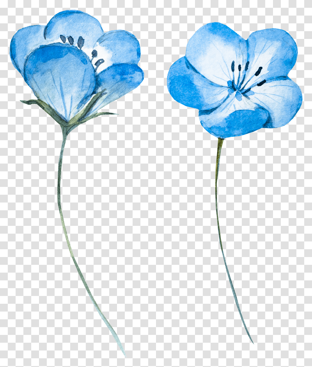 Watercolor Flowers Painting Hq Watercolor Flower Vector Transparent Png