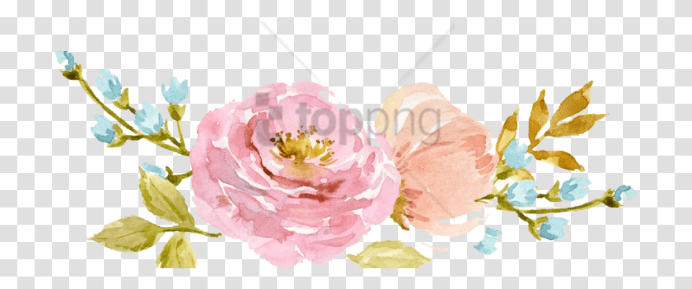 Watercolor Flowers Peach Free Watercolor Background Watercolor Flowers, Plant, Blossom, Petal, Peony Transparent Png