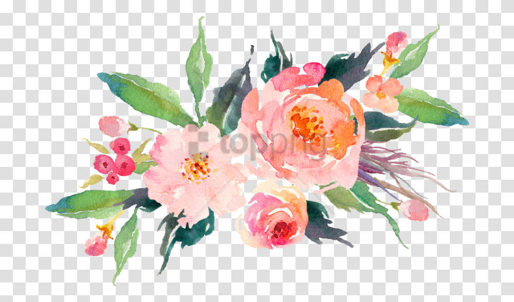 Watercolor Flowers Peach Image With Background Watercolor Flowers, Plant, Blossom, Peony, Petal Transparent Png