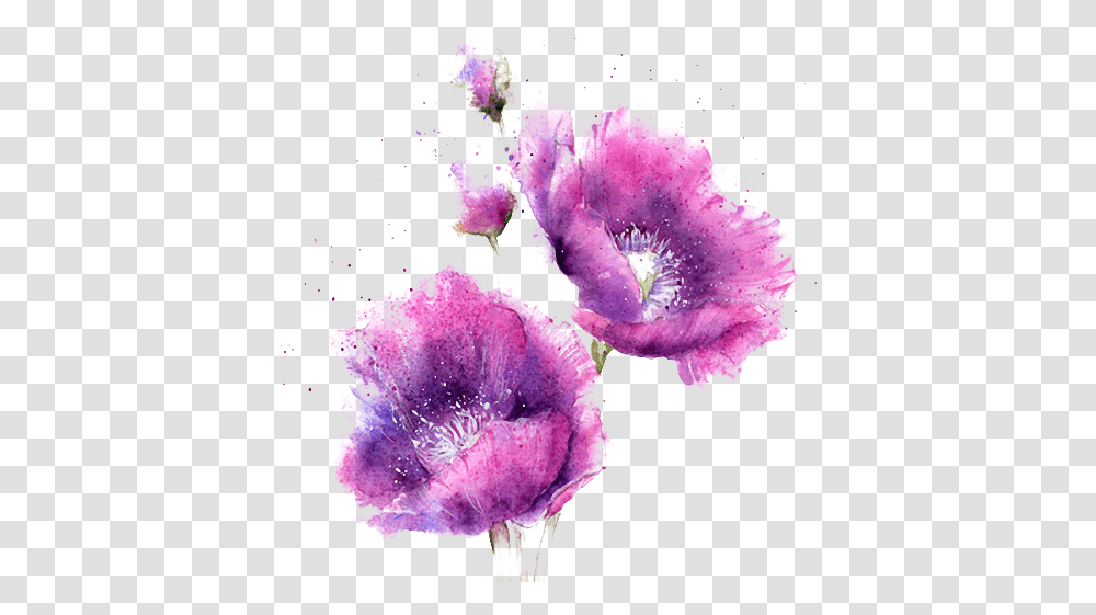 Watercolor Flowers Pink And Purple Watercolour Flower, Plant, Geranium, Blossom, Petal Transparent Png