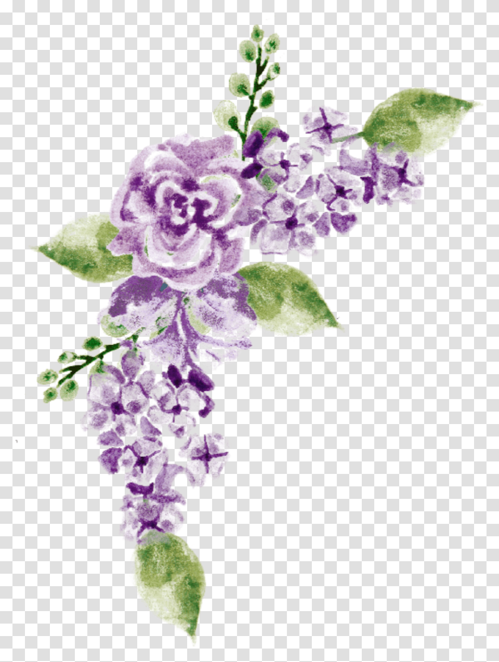Watercolor Flowers Purple Lavender Bouquet Bunch Duranta, Plant, Blossom, Lilac, Iris Transparent Png