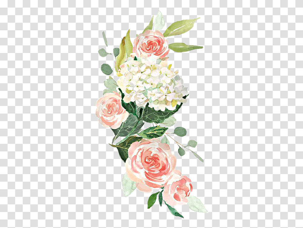 Watercolor Flowers Roses Floral Sticker By Stephanie Free Watercolor Flowers Background, Plant, Blossom, Carnation, Petal Transparent Png