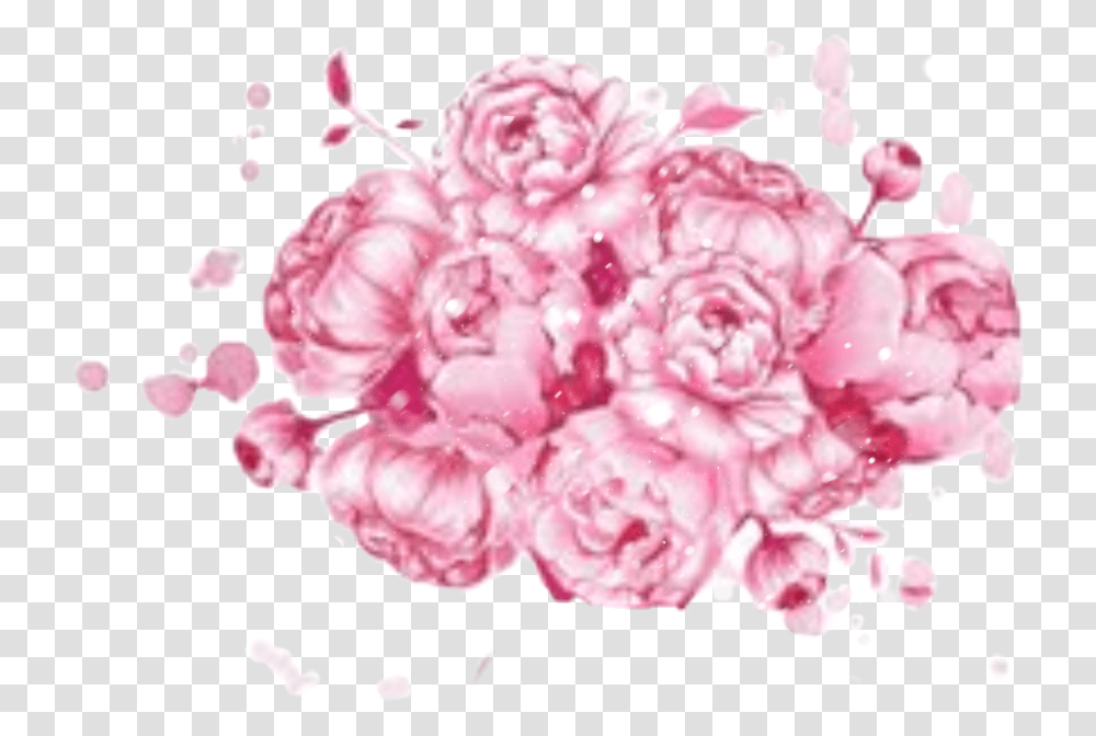 Watercolor Flowers Roses Pink Pastel Pretty Steffj Illustration, Plant, Blossom, Carnation Transparent Png