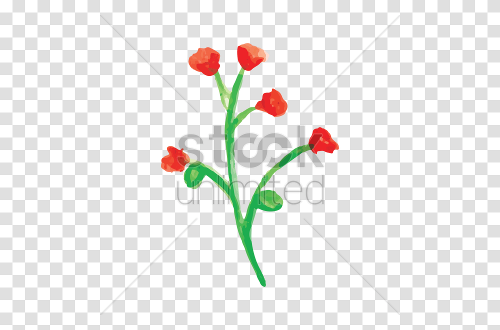 Watercolor Flowers Vector Image, Plant, Blossom, Bow, Wand Transparent Png