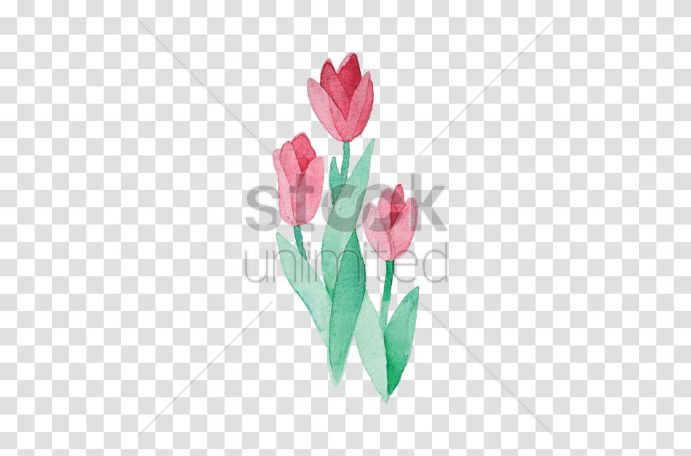 Watercolor Flowers Vector Image, Plant, Blossom, Flower Arrangement, Jar Transparent Png